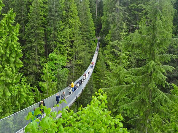 Capilano Suspension Bridge