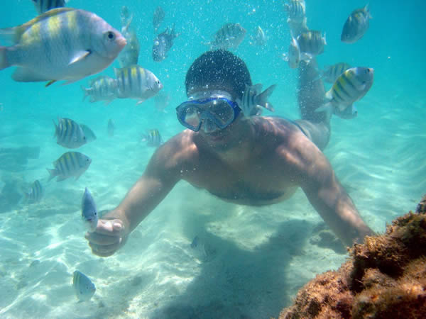 Mergulho em Porto de Galinhas