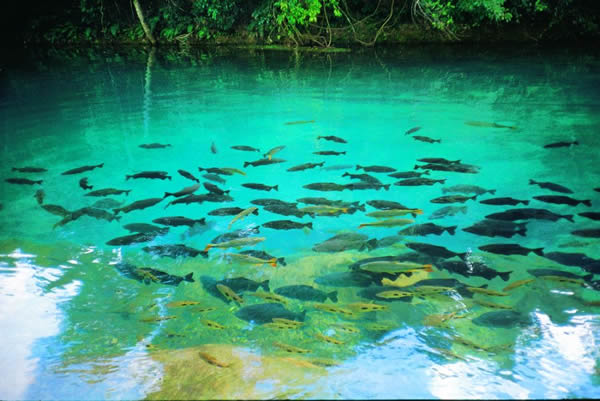 Bonito - Mato Grosso do Sul