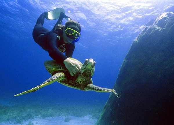 Mergulho em Fernando de Noronha