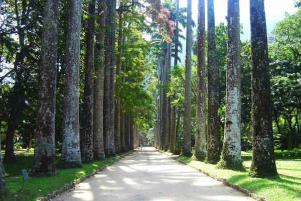 Jardim Botânico Rio de Janeiro