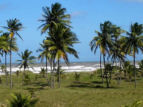 Praia - Aracaju