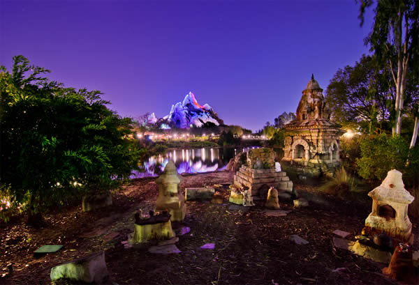 Parque Animal Kingdom - Disney